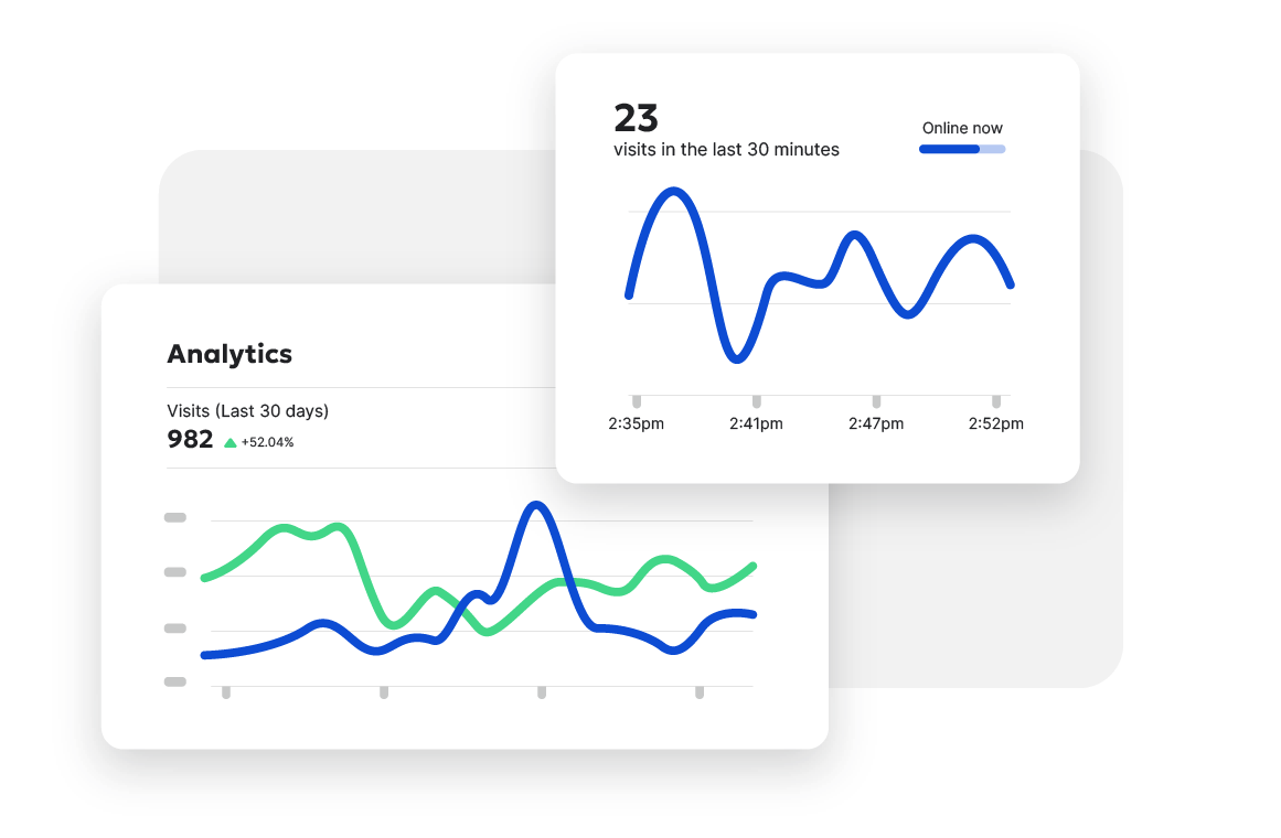 Analytics dashboard showing visits in the last 30 days and last 30 minutes, with line graphs displaying trends.